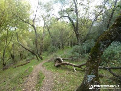 Atazar - Meandros Río Lozoya - Pontón de la Oliva - Senda del Genaro;ruta por toledo